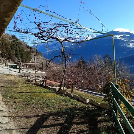 Con Vista Pazzesca Sul Gran Paradiso *